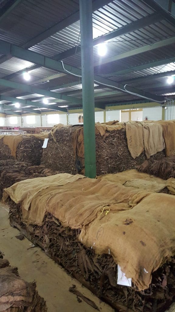 Our Factory